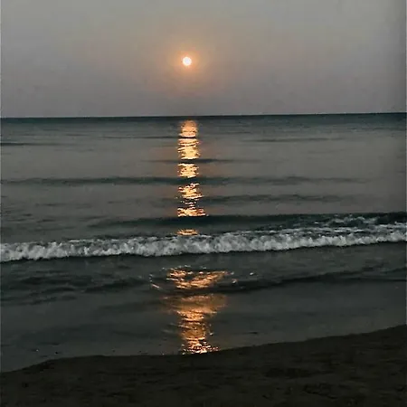 Bali 303 Apartament Larnaca