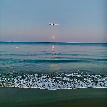 Bali 303 Larnaca