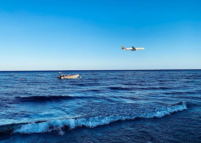 Bali 303 Ларнака