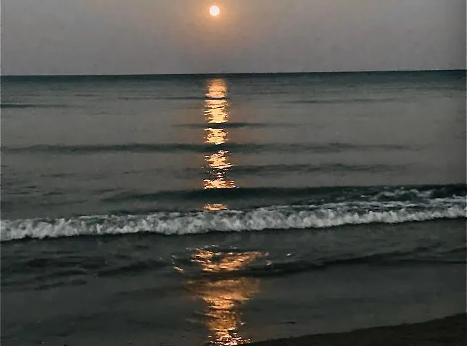 Bali 303 Lägenhet Larnaca