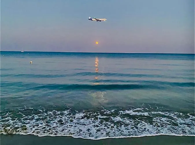 Bali 303 Ларнака